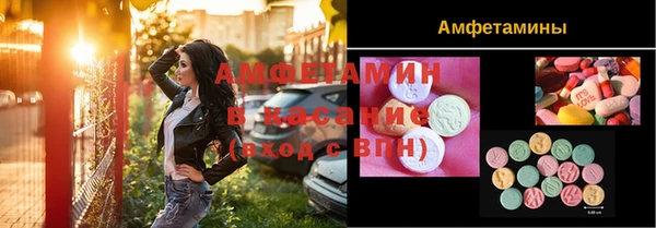 винт Верея