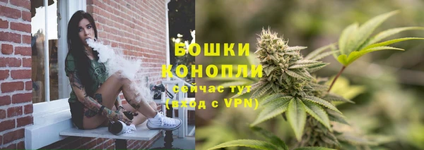 ГАЛЛЮЦИНОГЕННЫЕ ГРИБЫ Бородино