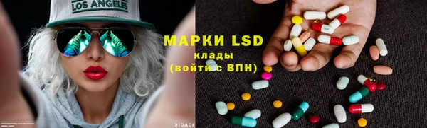 ГАЛЛЮЦИНОГЕННЫЕ ГРИБЫ Бородино
